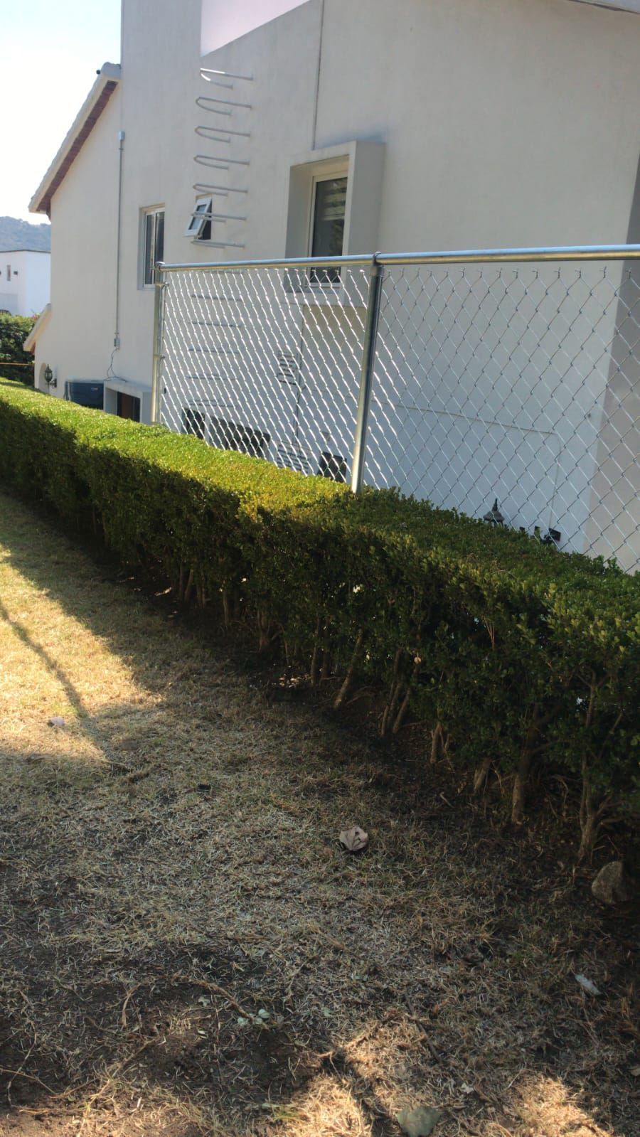 Una valla de alambre rodea un seto delante de una casa.