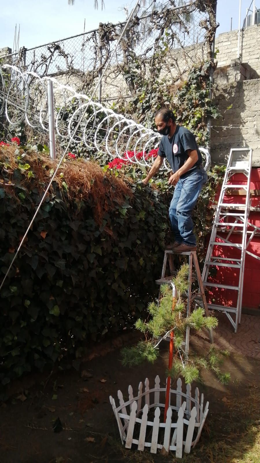 Un hombre está de pie en una escalera en un jardín.