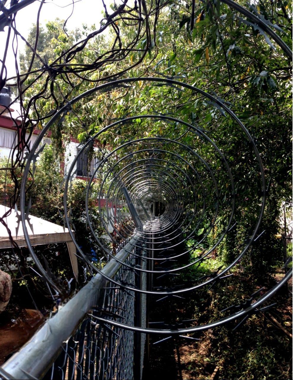 Una valla con alambre de púas está rodeada de árboles.