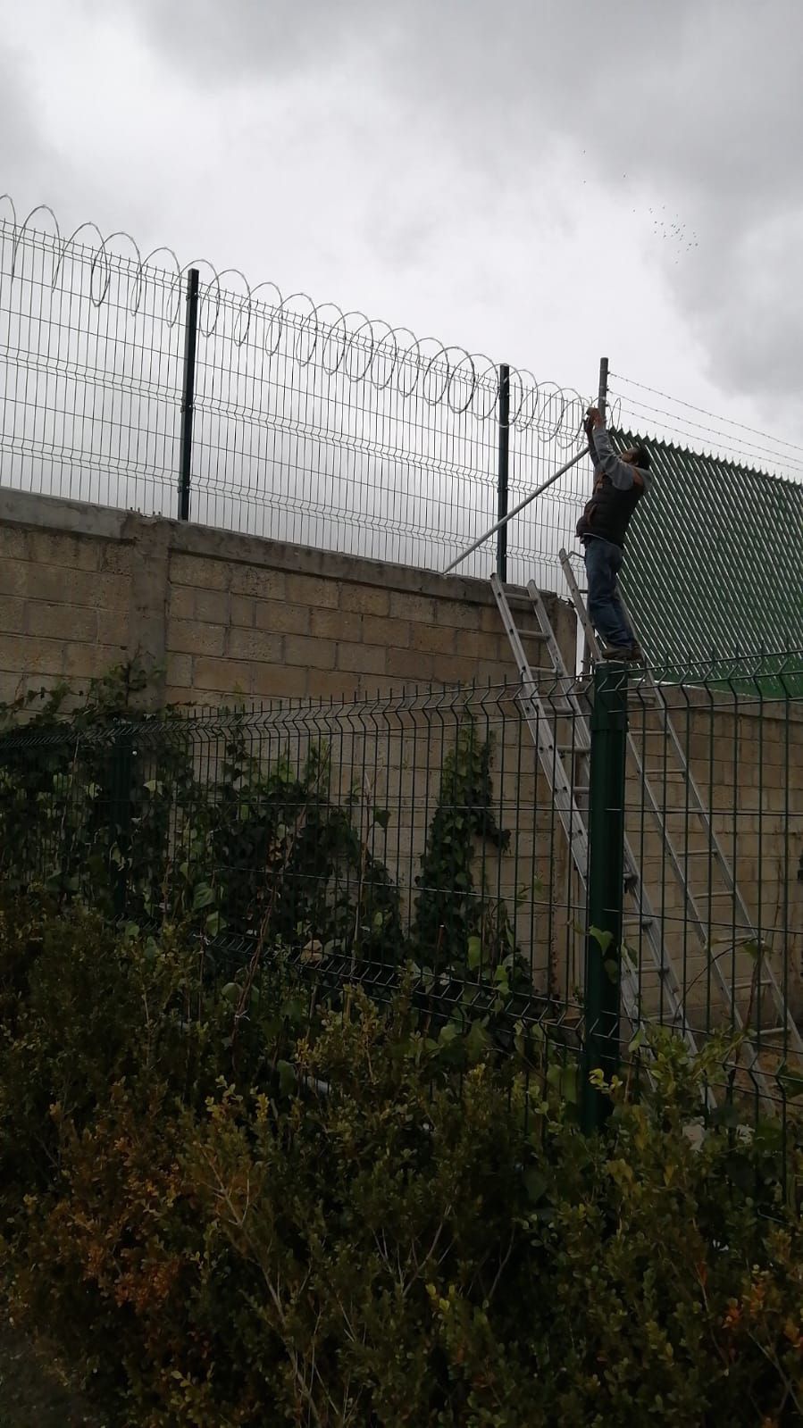 Un hombre está de pie en una escalera al lado de una cerca de alambre de púas.
