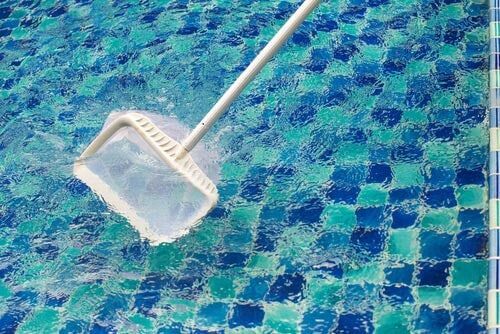 Cleaning the Pool — Pool Servicing and Maintenance in Annandale, QLD