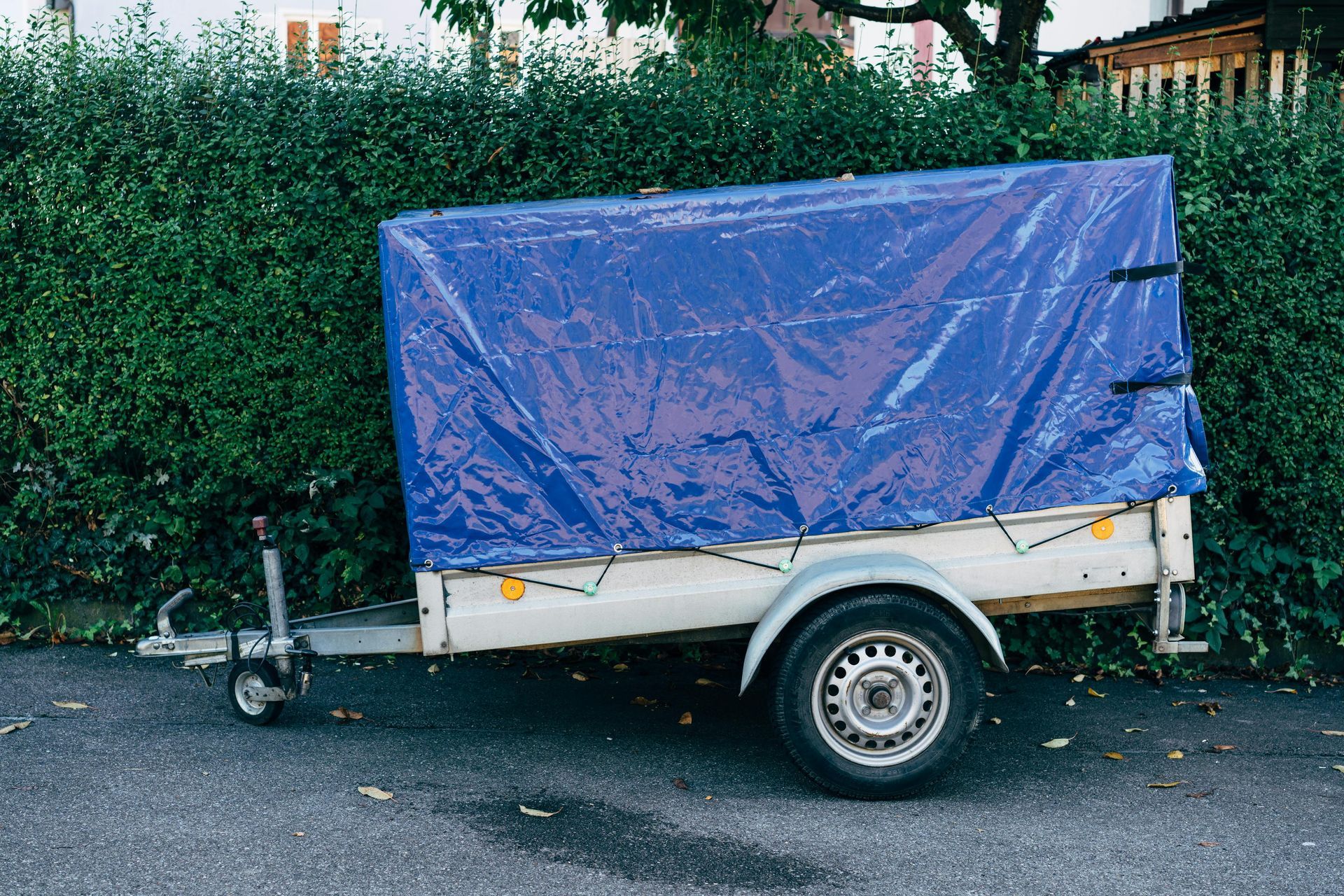 Trailer covered with blue tarp parked on asphalt next to green hedge.