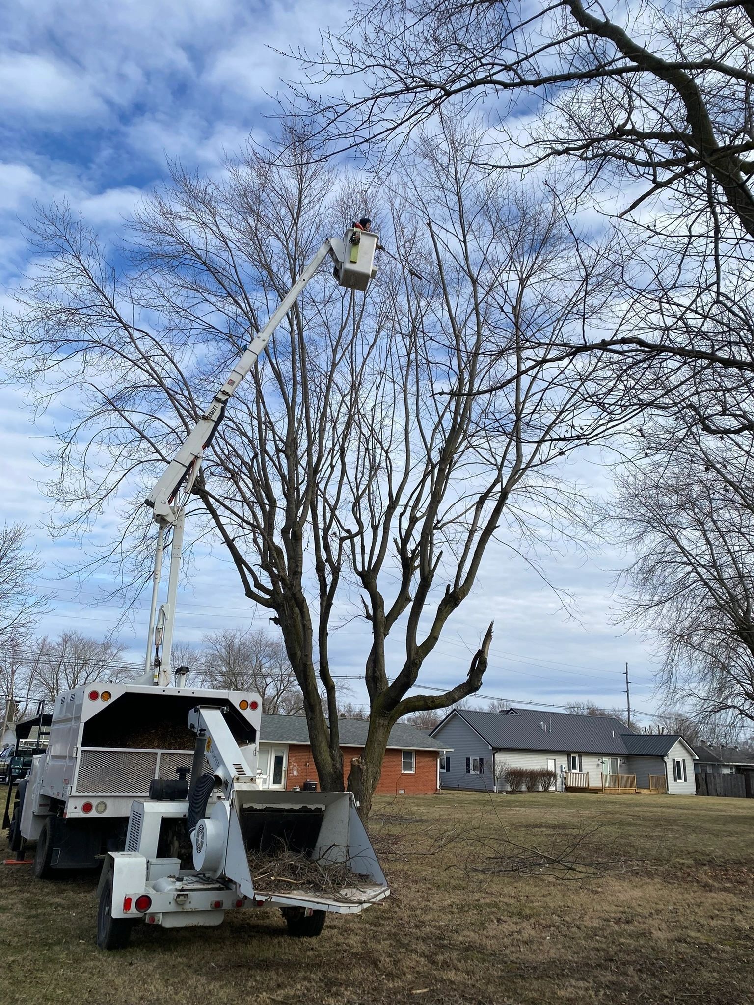 A man is cutting a tree with a crane in a field.