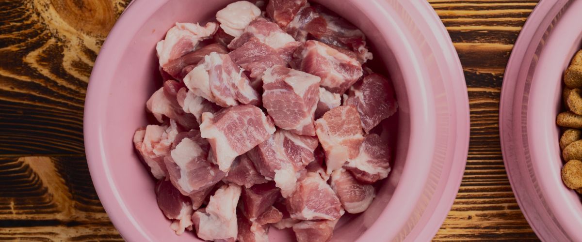 The Benefits of a Raw Diet for Pets