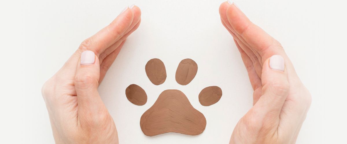 How to Create a Meaningful Memorial for Your Pet