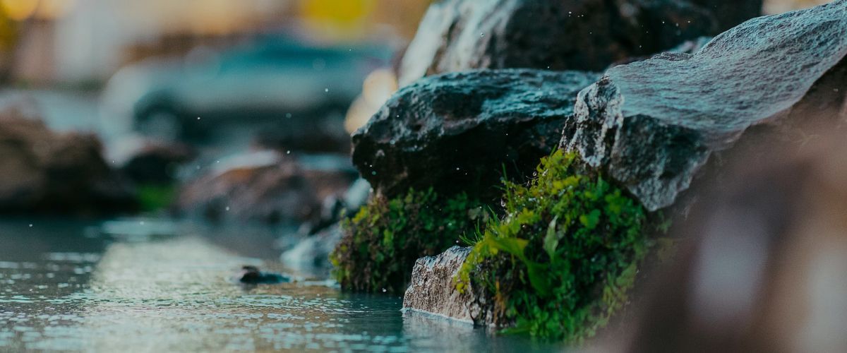 The Benefits of Aquamation