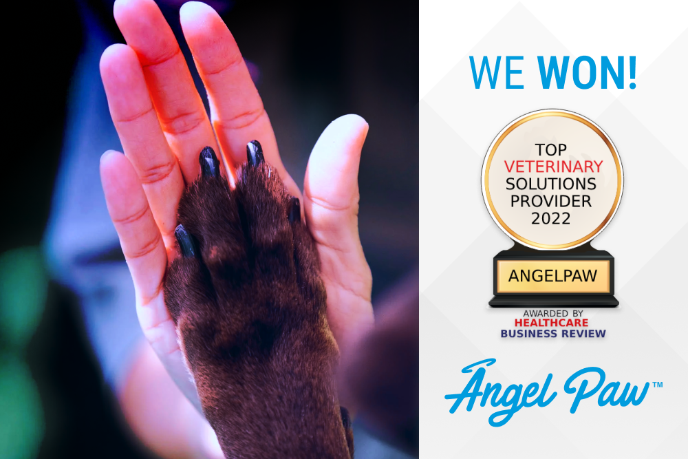 Angelpaw Wins Top Veterinary Solutions Provider!
