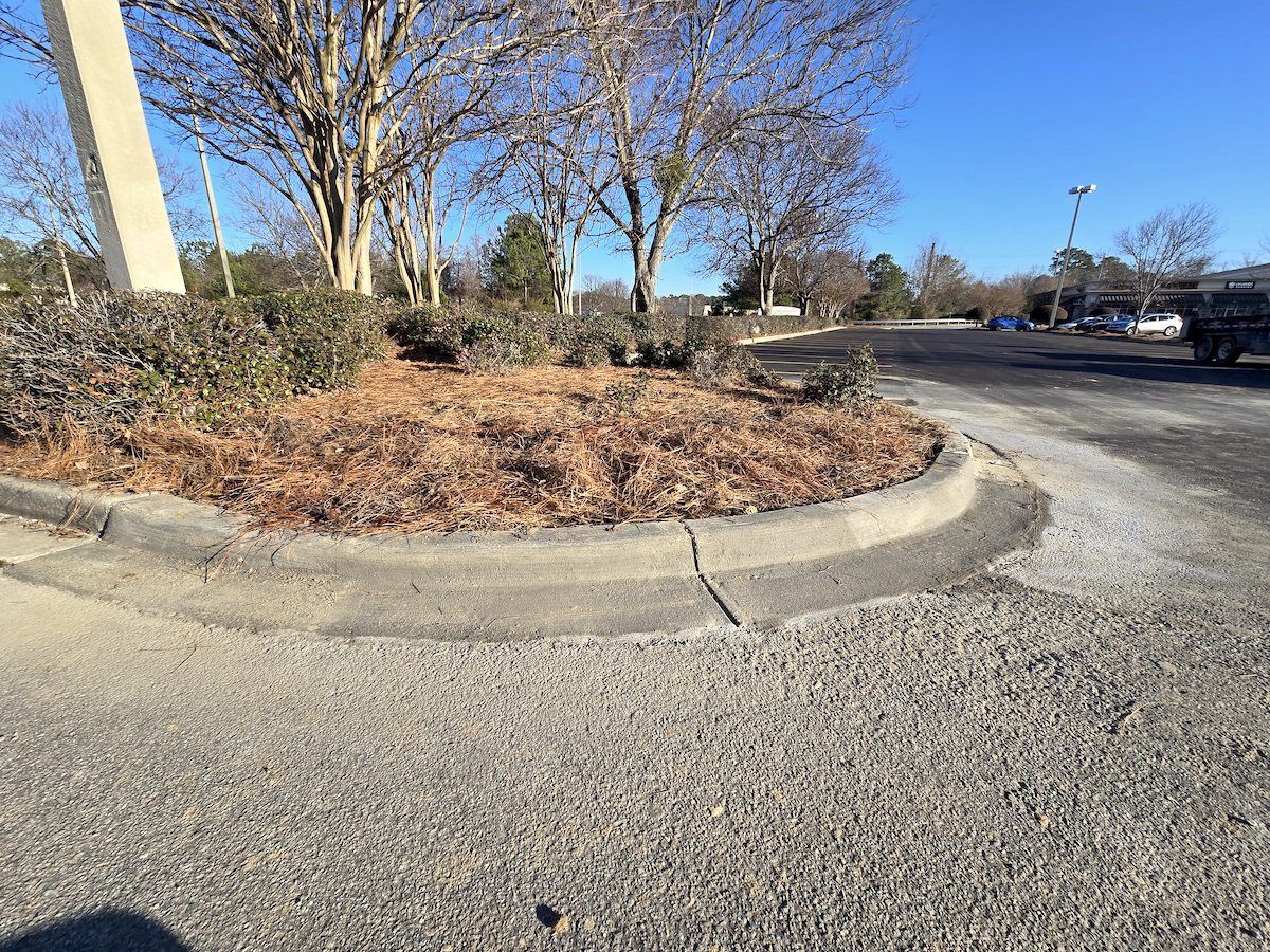A concrete curb bordering a landscaped island with brown mulch and bare trees in a sunny, paved parking lot.