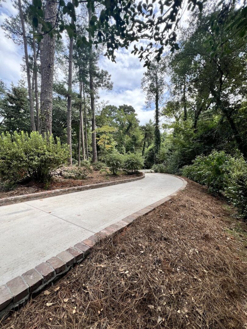 A curved concrete driveway bordered by brick, set within a lush, tree-filled landscape.