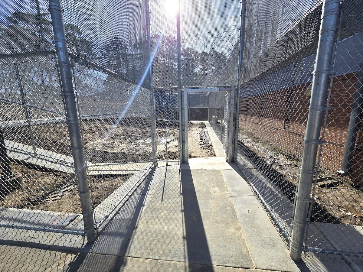 A fenced-in outdoor concrete pathway leading through a gated opening into a dirt lot with trees in the background.