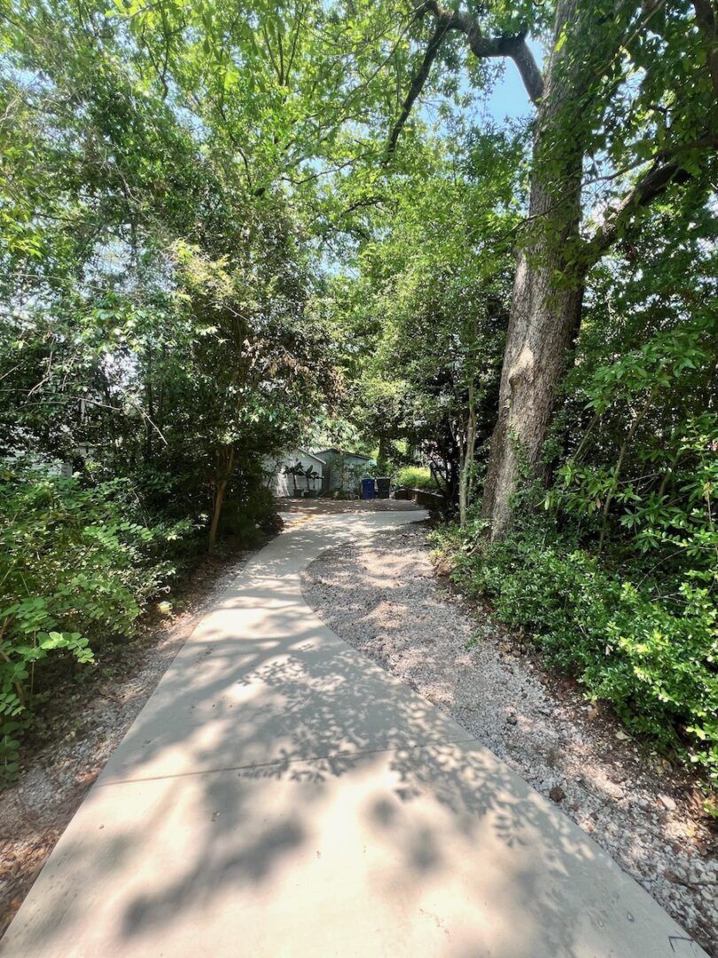 A concrete path leads through a lush, green wooded area, dappled with sunlight and shadows cast by surrounding trees.