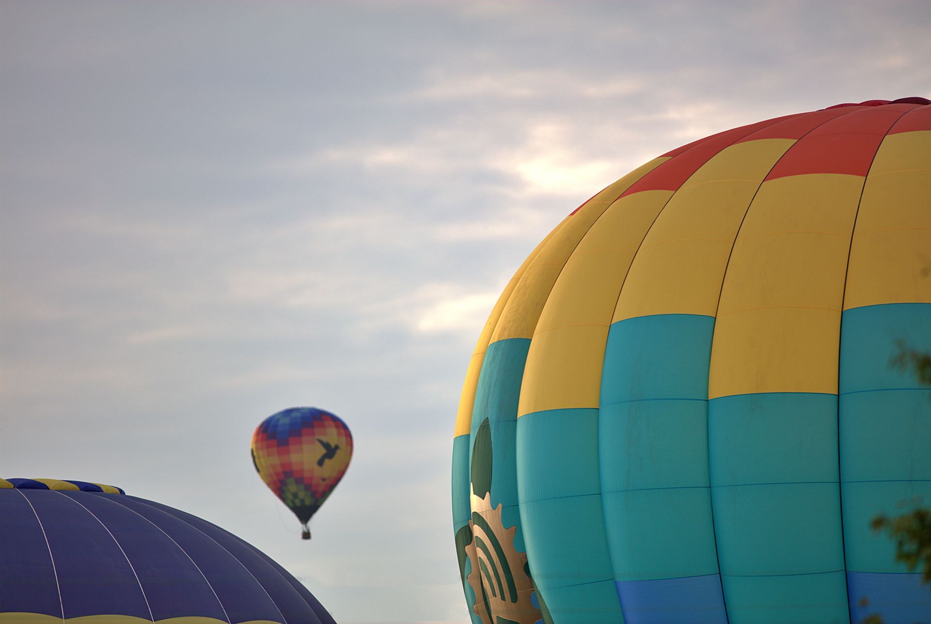 John Coughlan Invitational Illinois State University John Coughlan Invitational Illinois State University