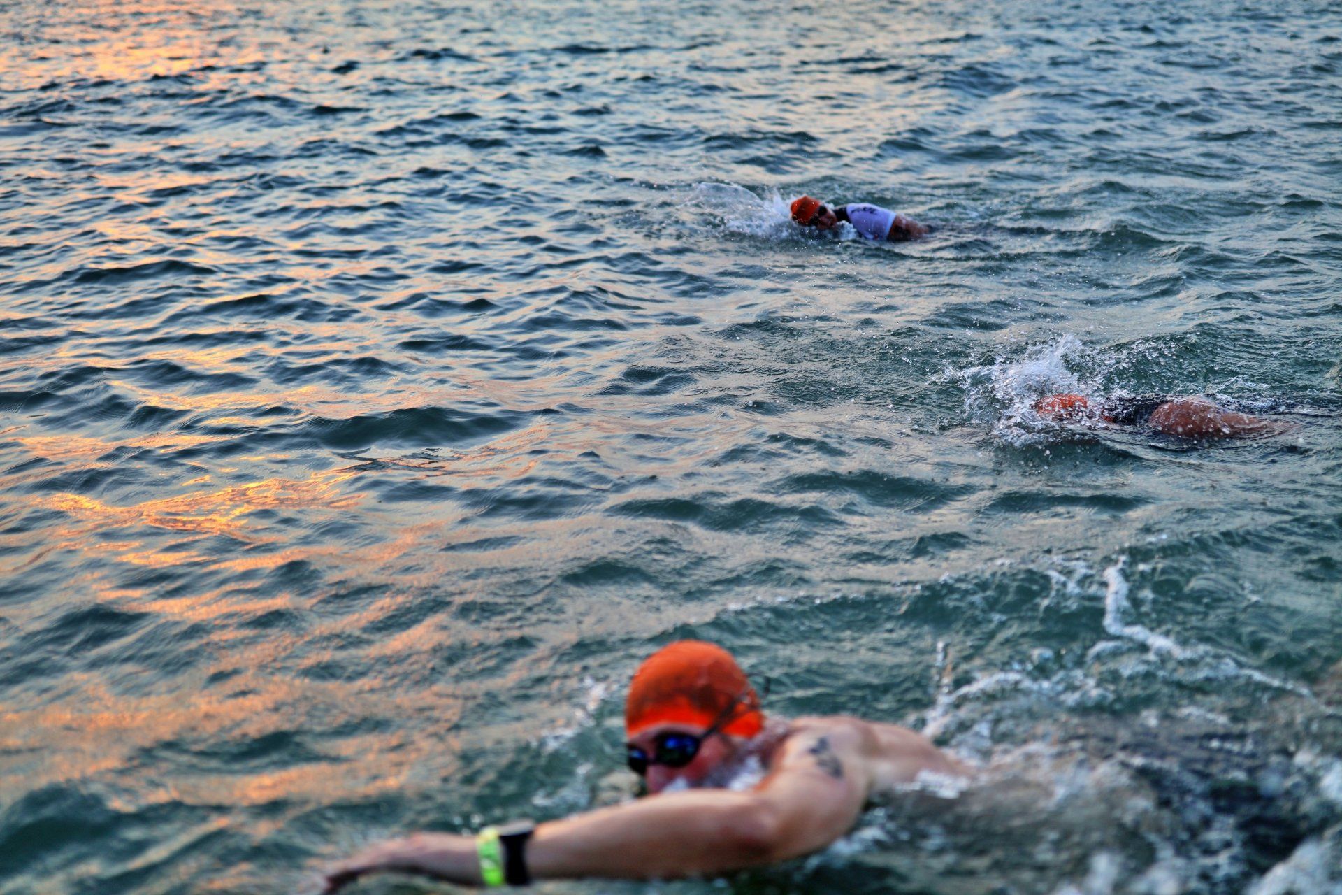 2022 Lifetime Chicago Triathlon free stock photo picture 2022 Lifetime Chicago Triathlon free stock photo picture