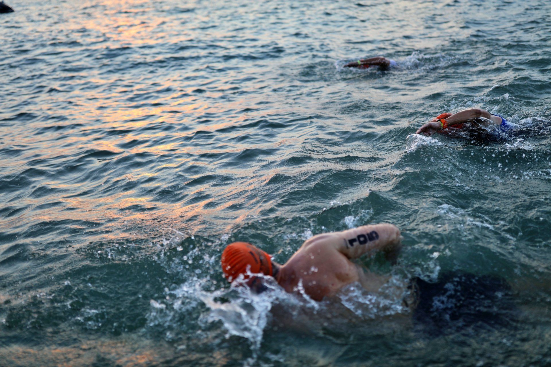 2022 Lifetime Chicago Triathlon free stock photo picture 2022 Lifetime Chicago Triathlon free stock photo picture