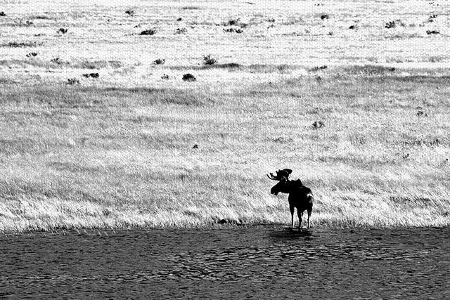 John Coughlan Invitational Illinois State University John Coughlan Invitational Illinois State University