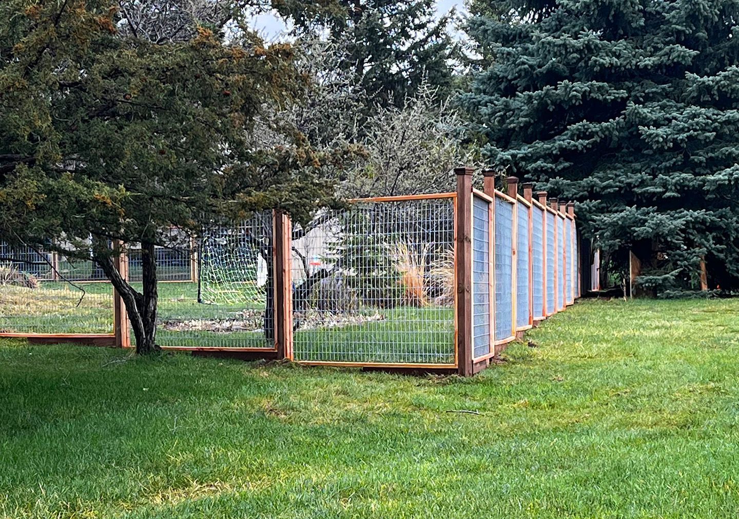 A dog enclosure made of wood and wire mesh in a grassy yard, surrounded by trees.