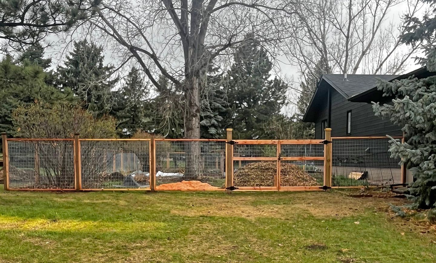 A wooden fence with wire mesh in a yard with a gate and trees.