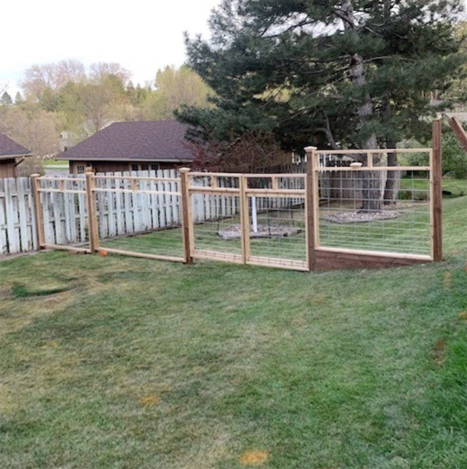 A backyard with a wooden fence, a tree, and a house. Green grass fills the foreground.