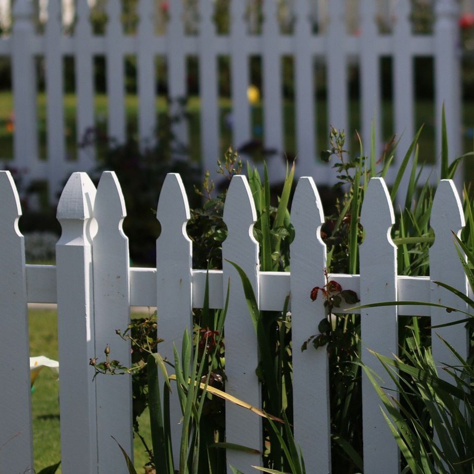 White picket fence with tall green grass and plants in a sunny garden.