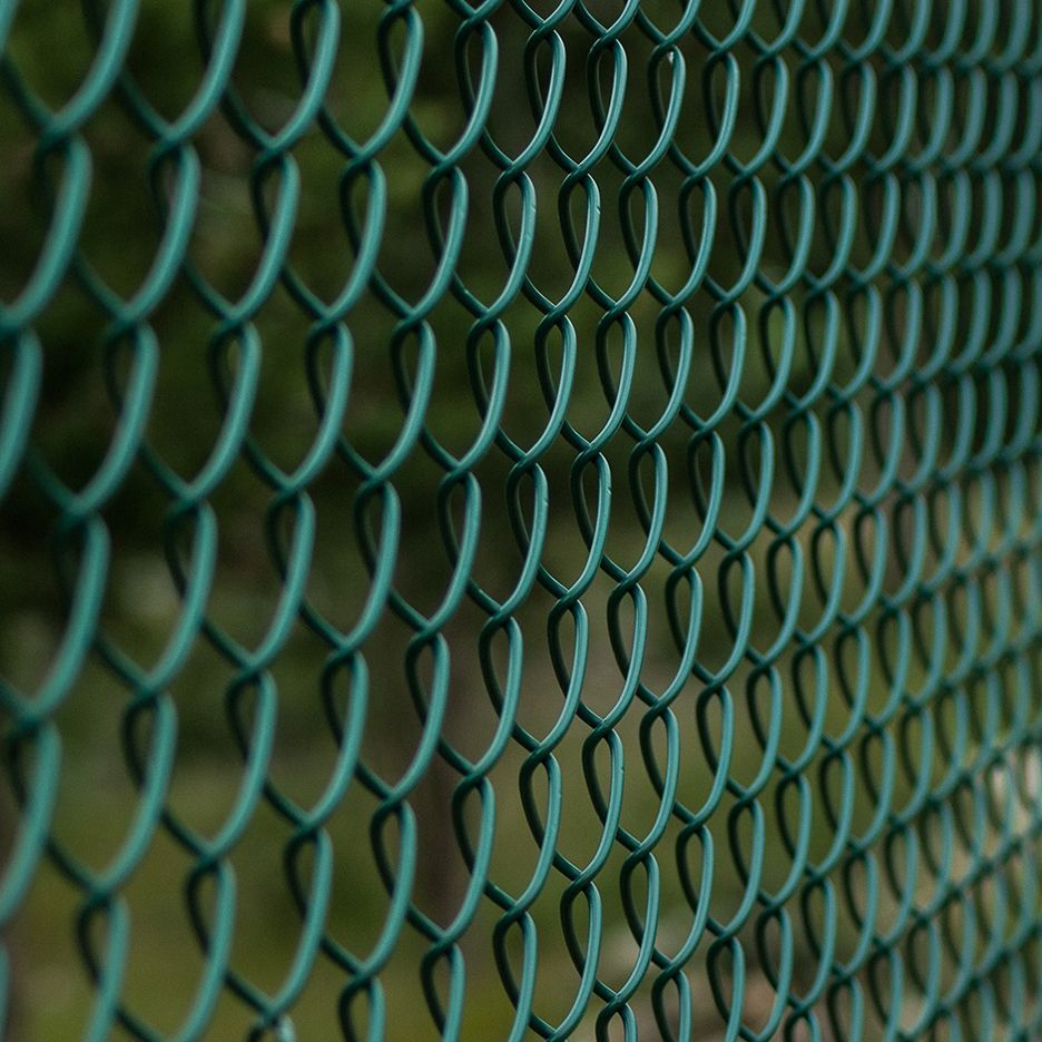 Green chain-link fence, close-up detail against a blurred green background.