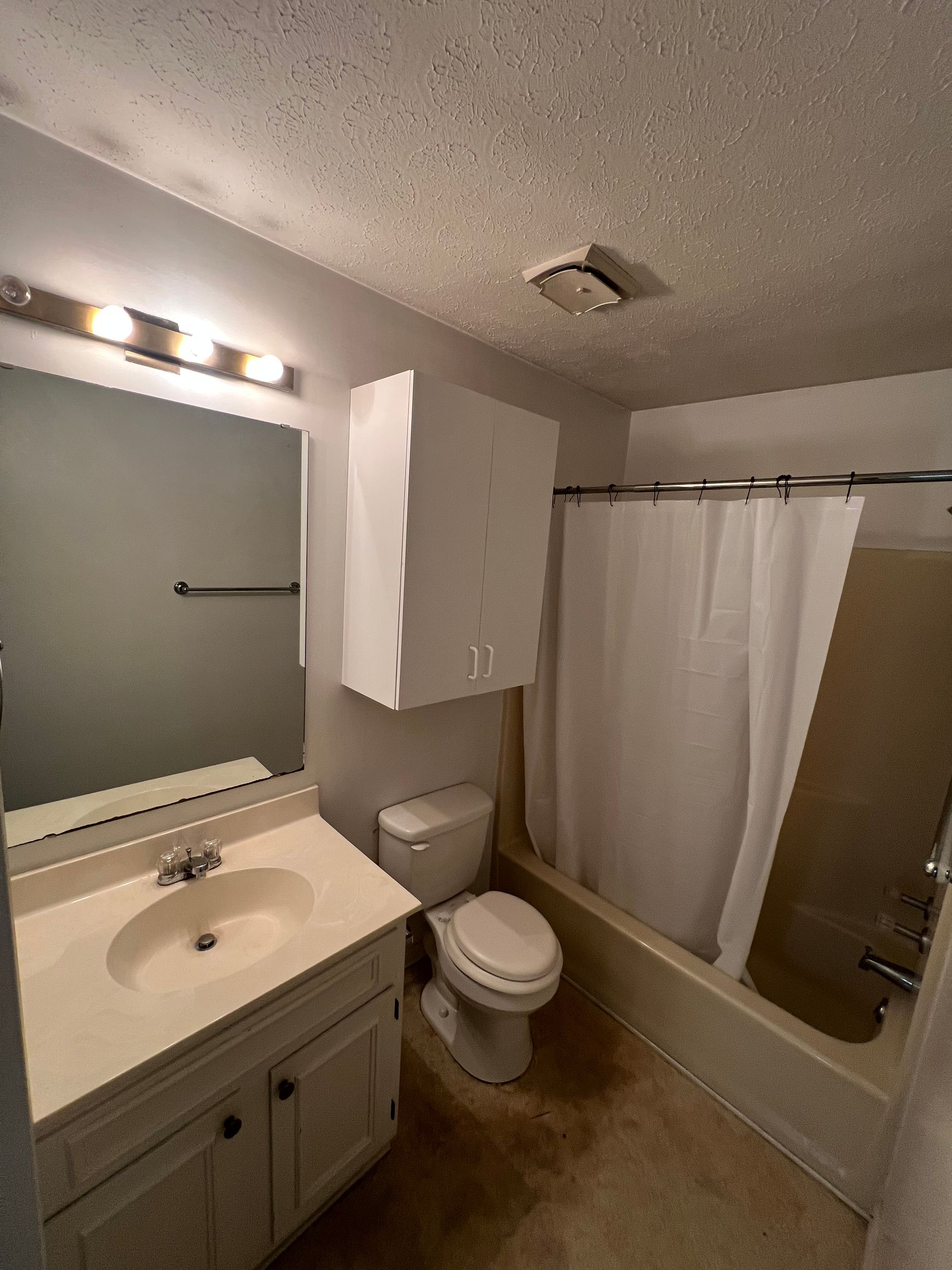 Bathroom with a toilet, sink, tub with shower curtain, and a medicine cabinet. The walls are light gray.