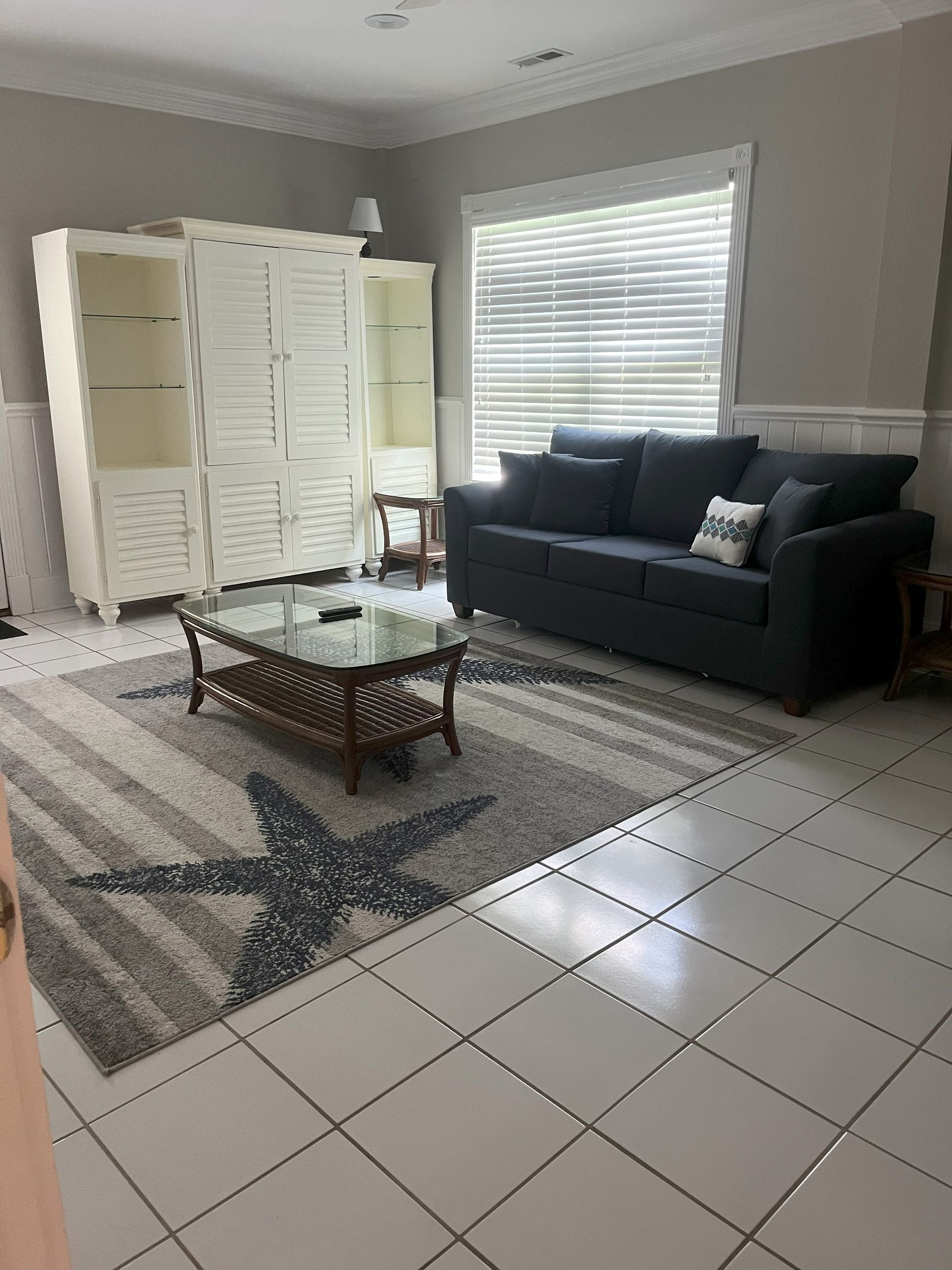Living room with a gray couch, white cabinets, a starfish rug, and a glass-topped coffee table.