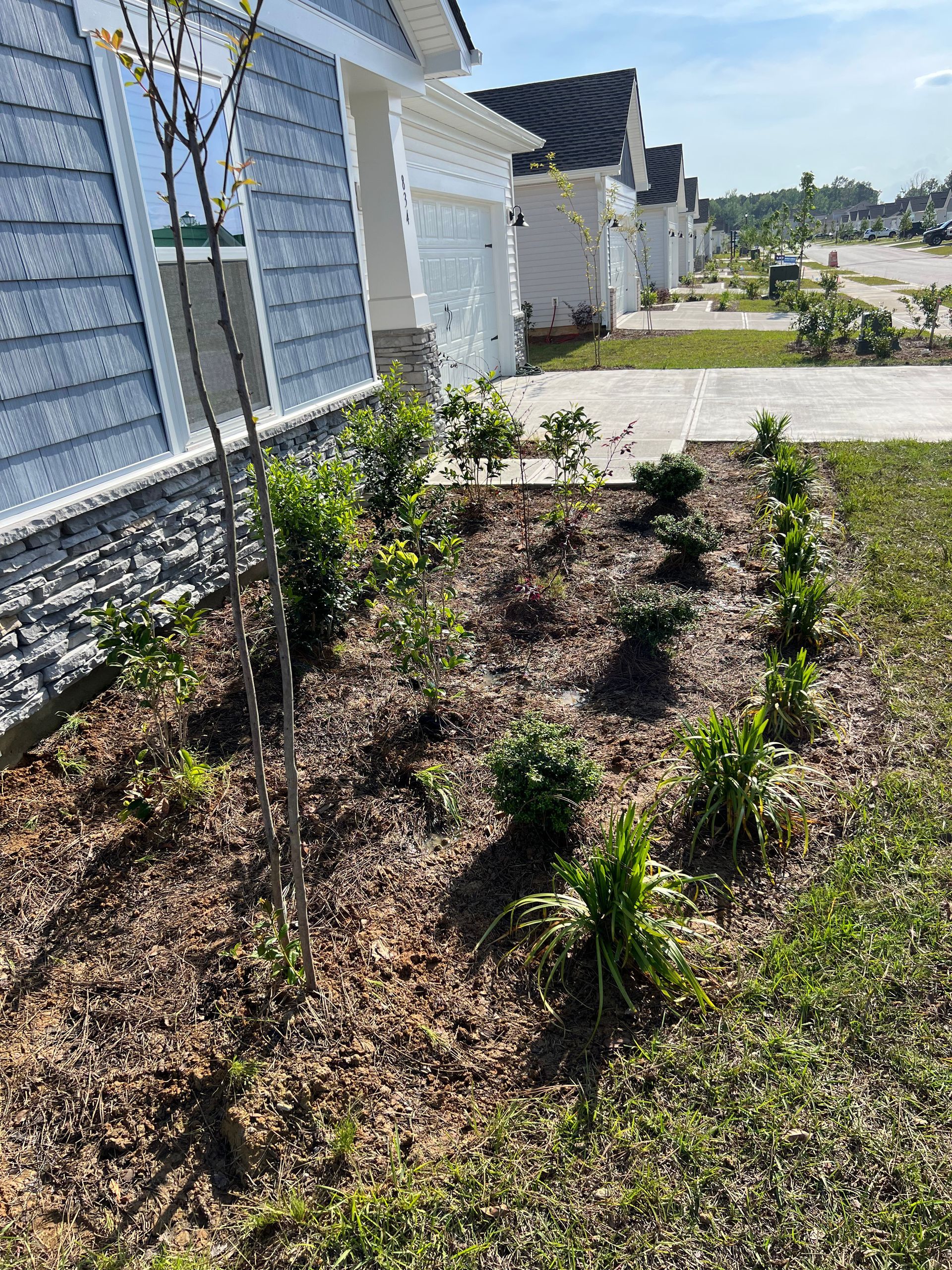 A landscaped flowerbed in front of a light blue house. The bed has brown mulch, young plants, and a small tree.