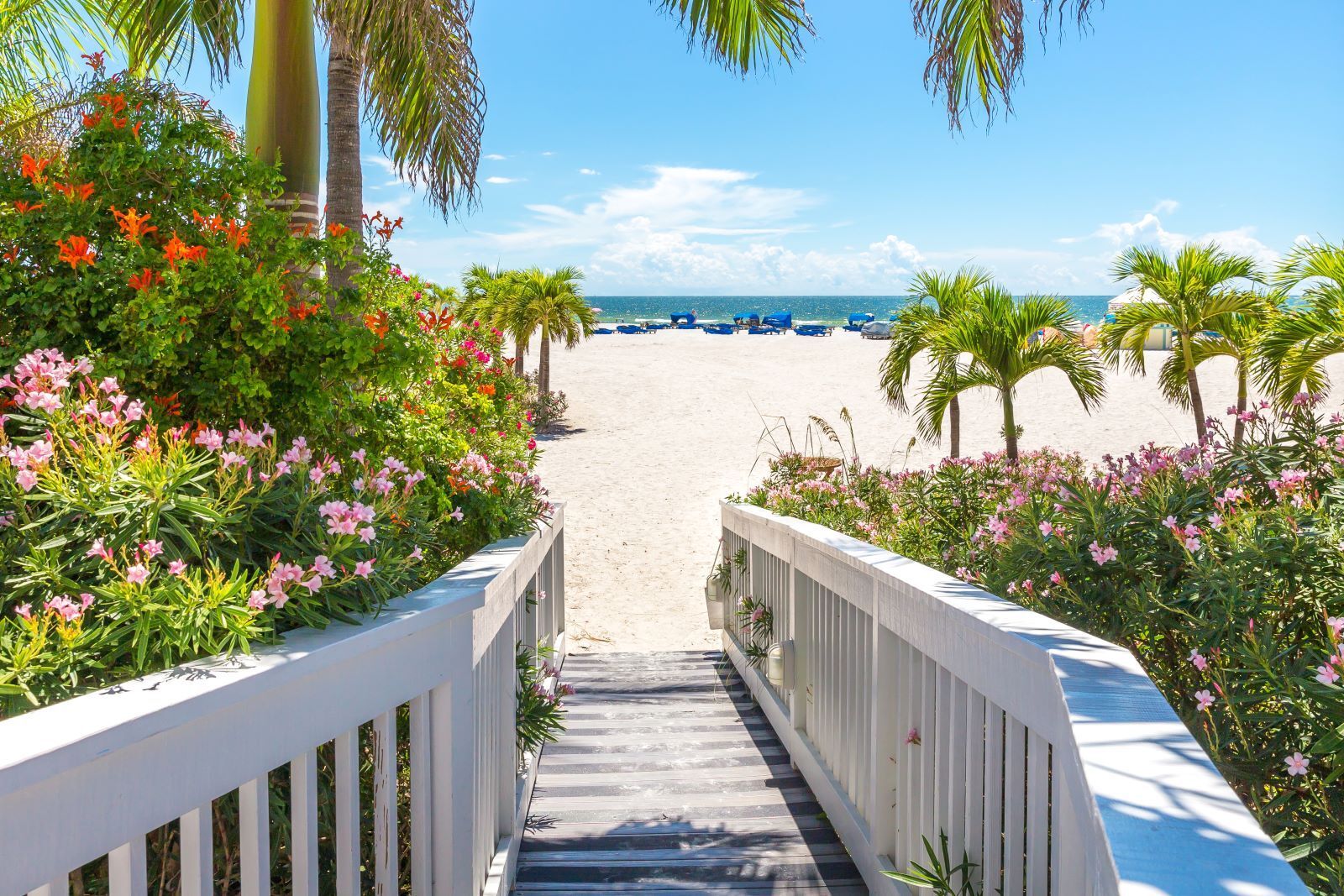 A wooden boardwalk leading to a beach with palm trees and flowers.