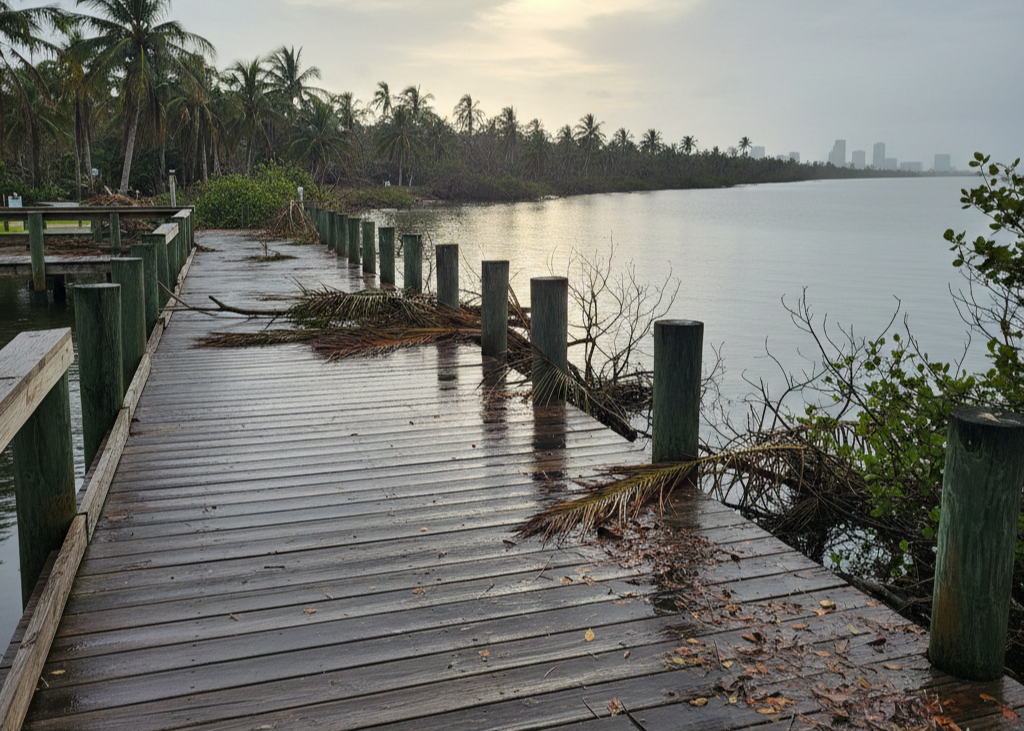 Storm debris on a wooden dock after a hurricane in Tampa