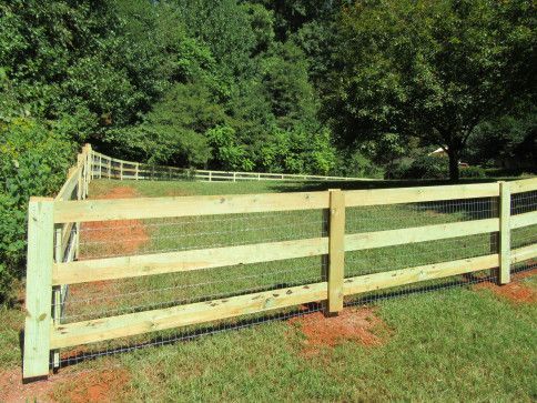 Wooden fence with wire mesh in a grassy yard, trees in the background.