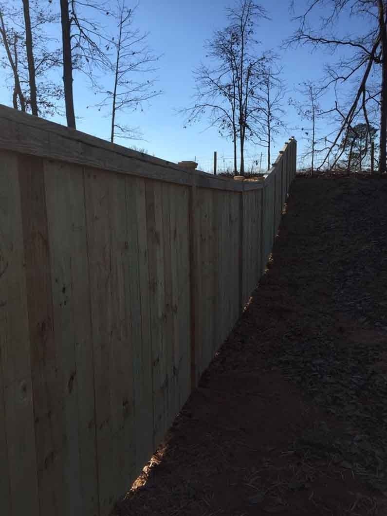 A wooden fence runs along a sloping brown hill, trees and a blue sky in the background.