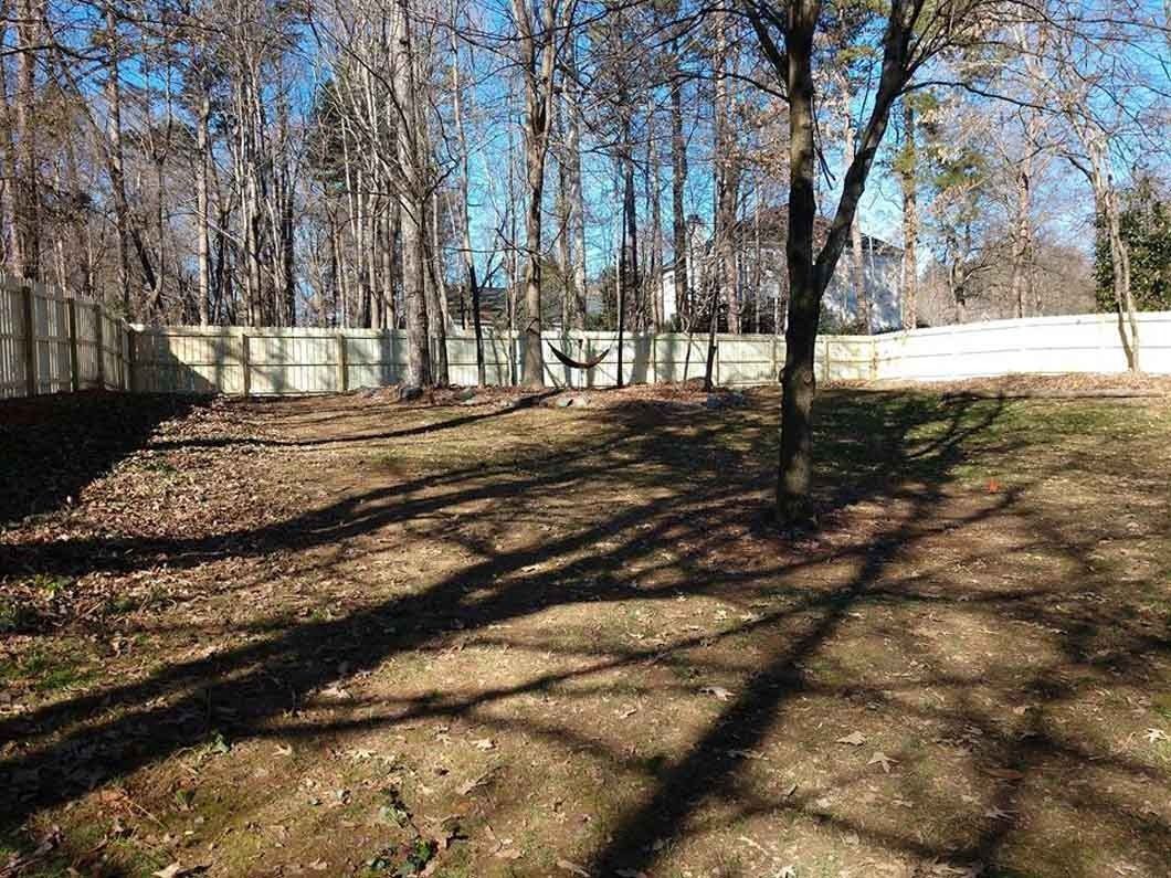 Bare backyard with a wooden fence and tall trees casting long shadows on the brown ground.