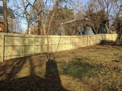 Wooden fence in a yard with bare trees and brown grass under a bright sky.