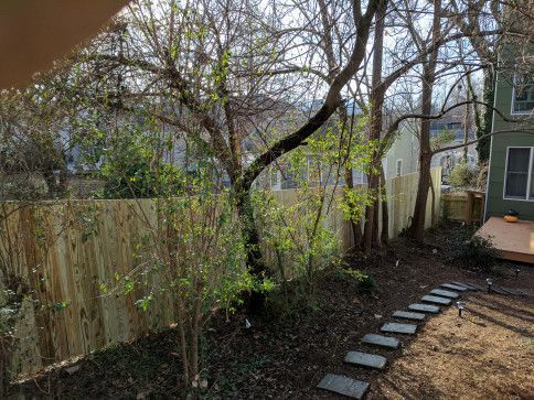 Backyard with new wooden fence, stone path, and trees in sunlight.
