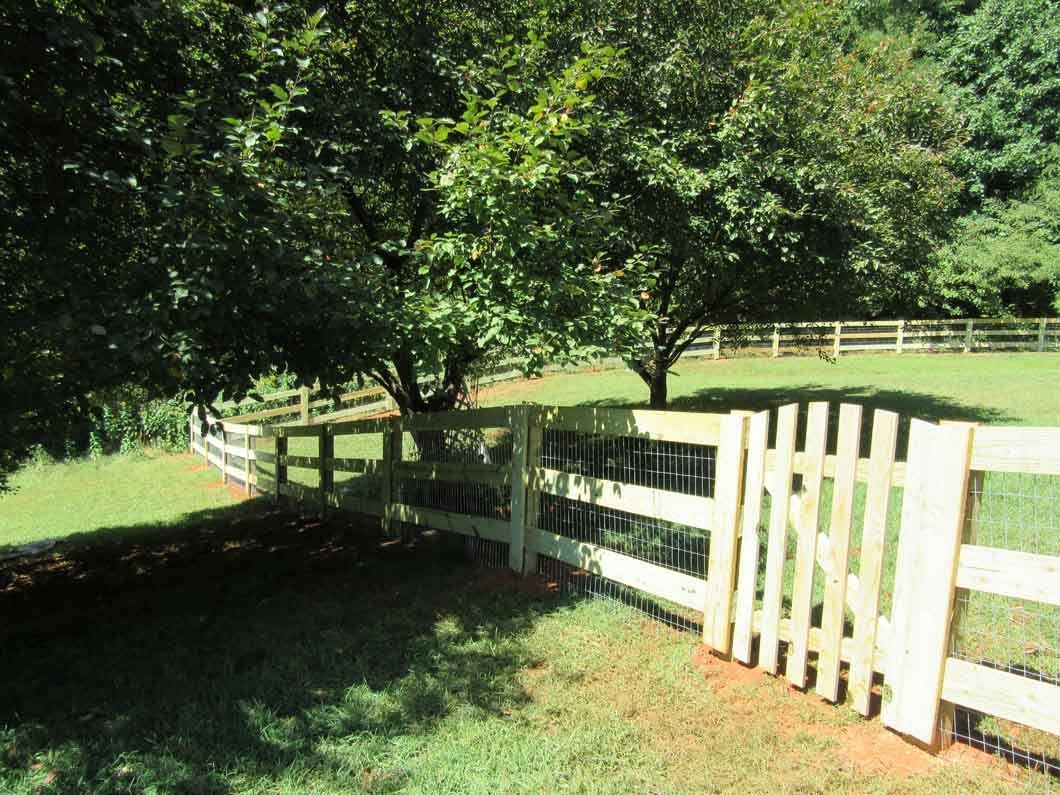 White wooden fence in a grassy field, trees in the background, sunny day.