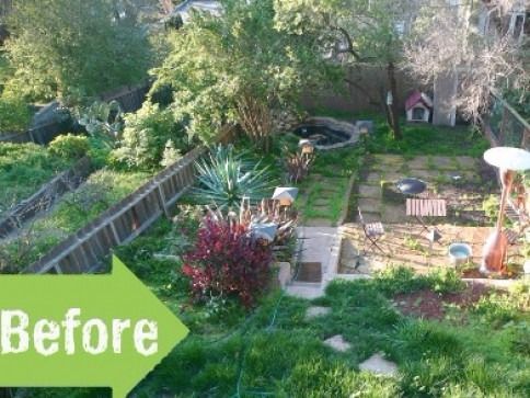 Overgrown backyard with a fence, trees, and a small pond, labeled