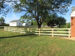 Wooden fence in a grassy yard, tree in the center, white building in the background on a sunny day.
