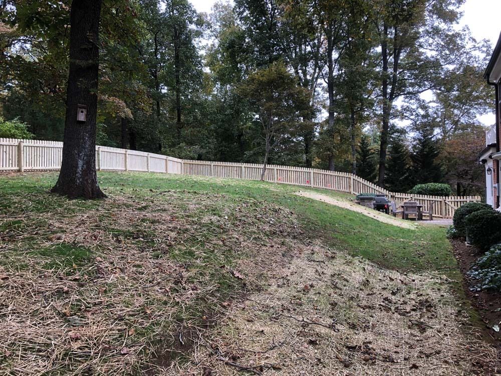 A wooden fence borders a sloped yard with sparse grass, trees in the background, and a glimpse of a house.