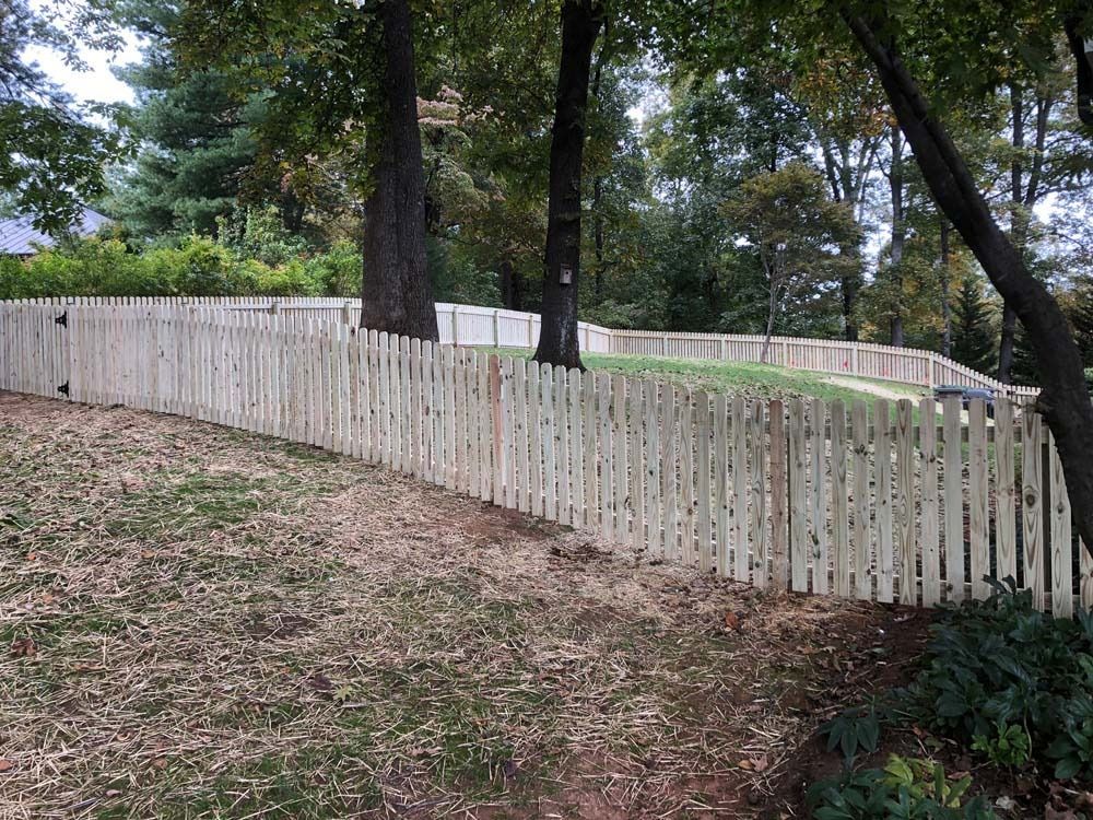 Wooden picket fence curving around a grassy yard, trees in the background, daytime.