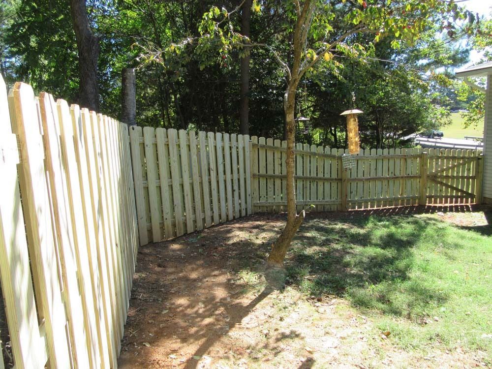 Wooden fence in a yard with a small tree and bird feeder. Green grass and trees in background.