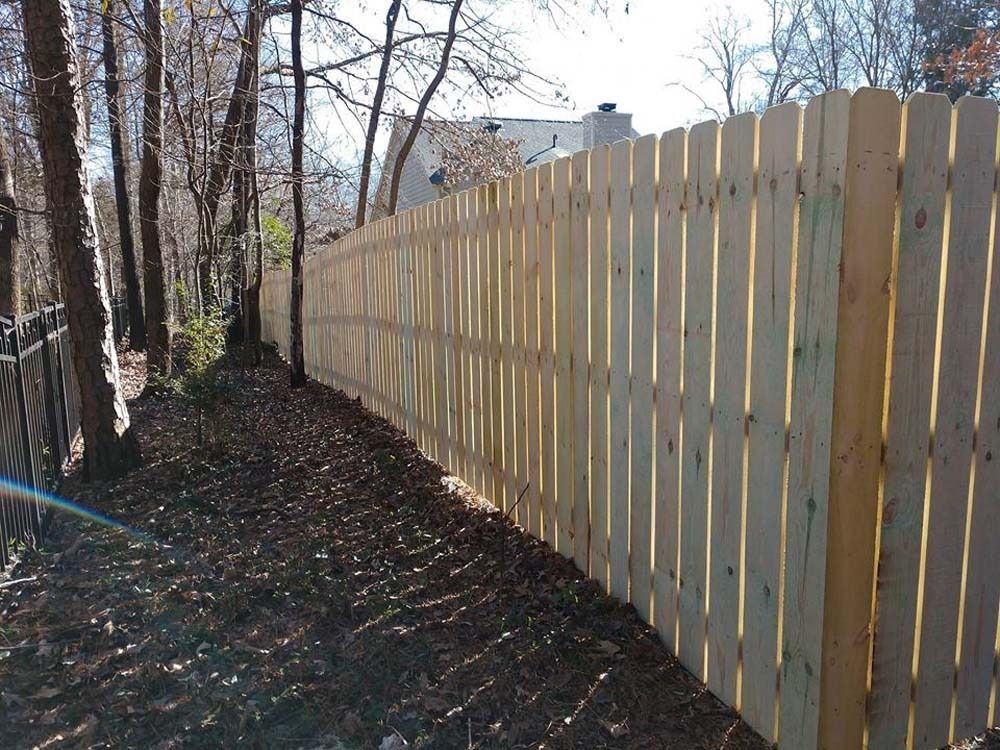 Wooden fence along a tree-lined property under a sunny sky.