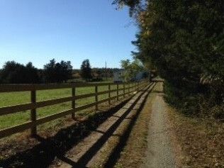 Dirt path alongside a wooden fence, leading to a distant building under a blue sky, on a sunny day.