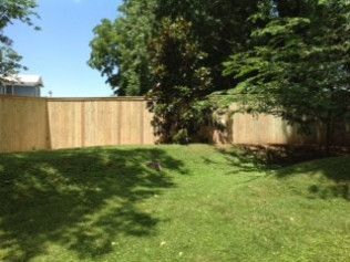 Lush green yard with a wooden fence. Trees provide shade on a sunny day. A building is visible in the distance.