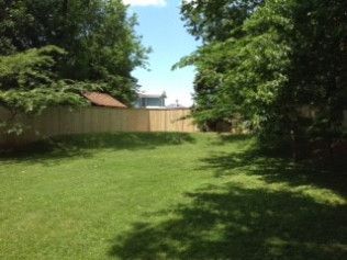 Lush green backyard with a wooden fence and trees under a blue sky.