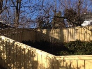 Wooden fence bordering a yard, trees and blue sky visible in the background.