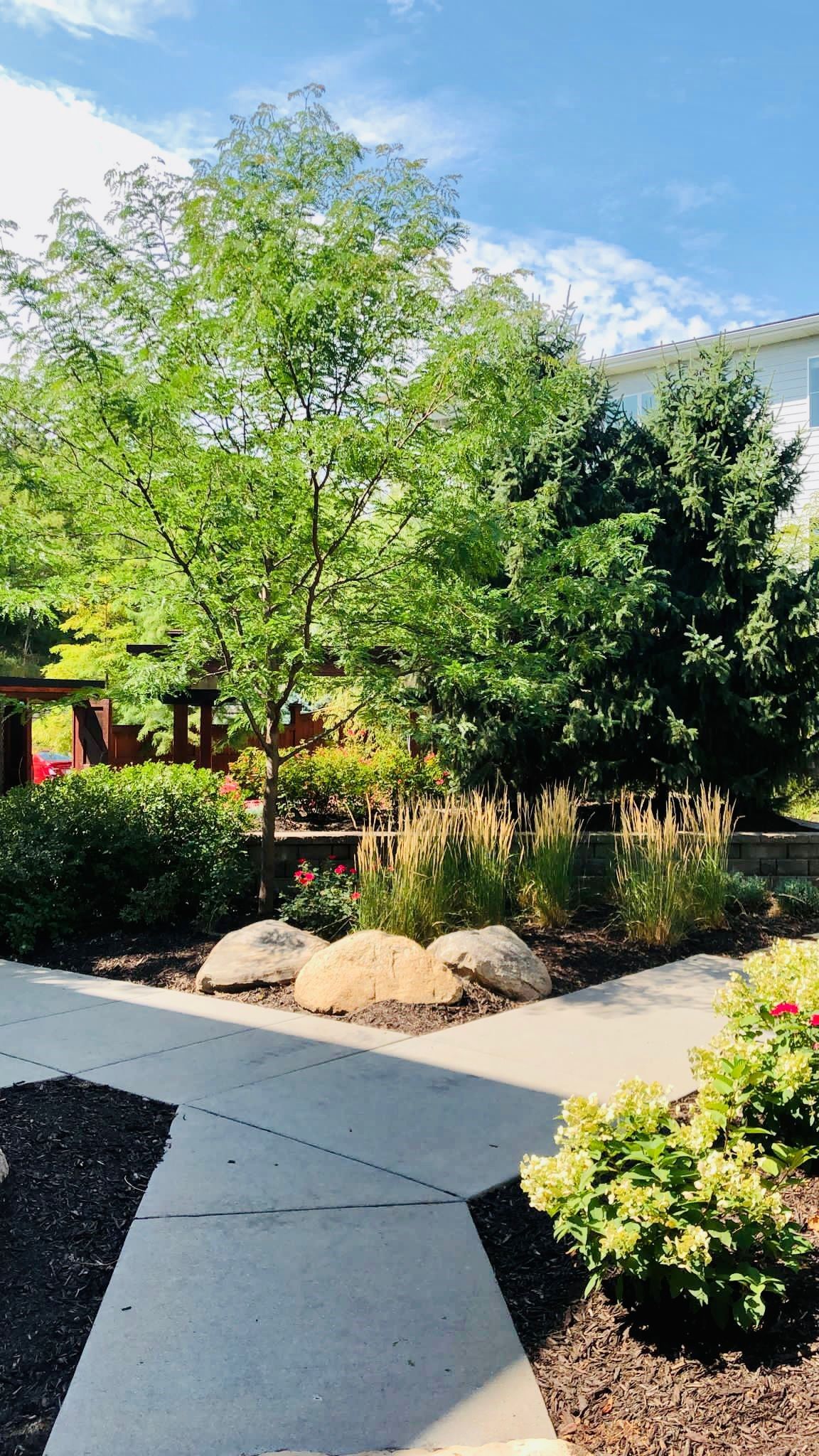 1010 on the lake walkway with trees
