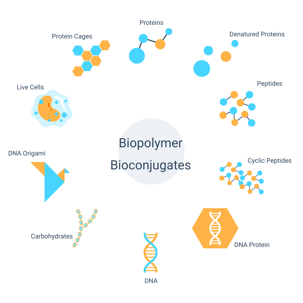 Figure 1: A representative list of emerging biopolymer bioconjugates for therapeutic and diagnostic applications.