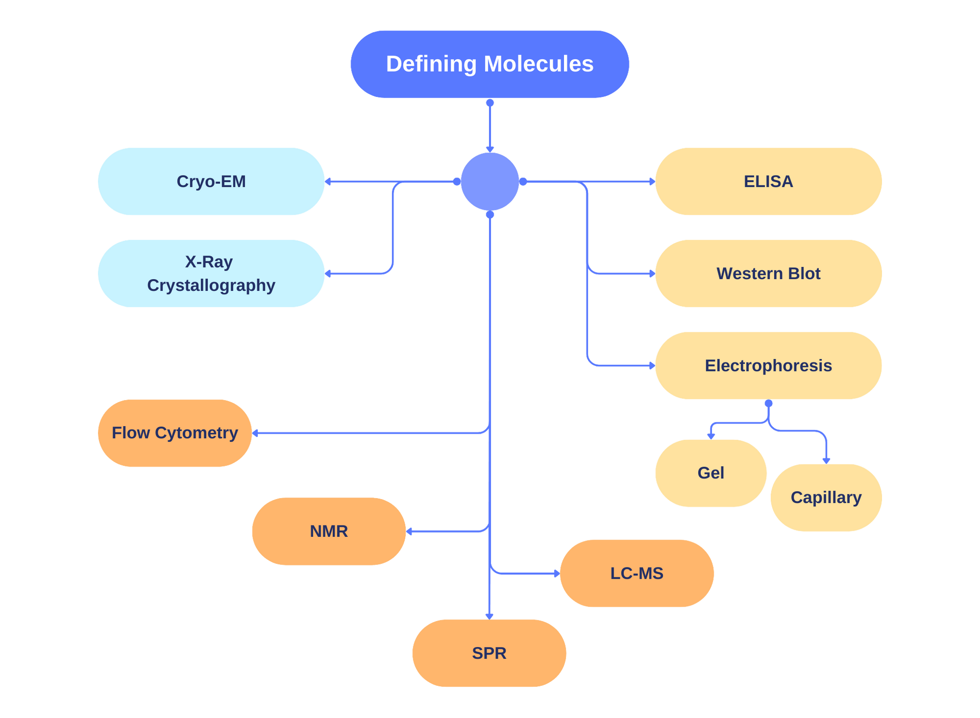 Defining Molecules infographic