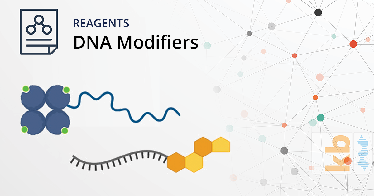 DNA Modifiers