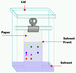 Tech Note: Analyzing Purification for Optimized Bioseparation
